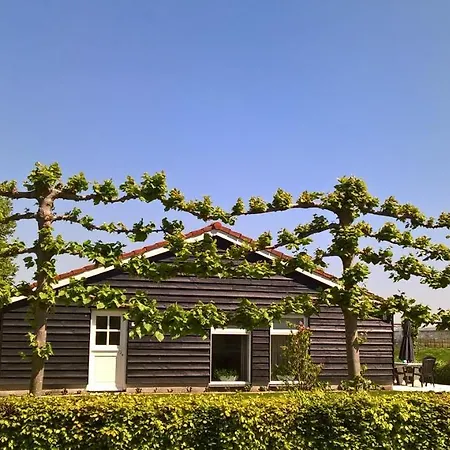 Boeren Burgers Buitenlui Bed & Breakfast Molenschot